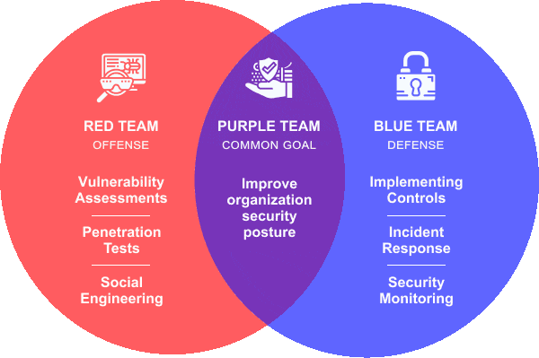 Purple Team